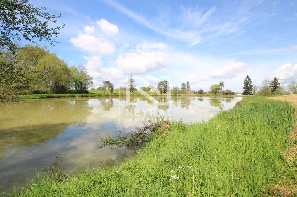 Etang avec sources - photo 3