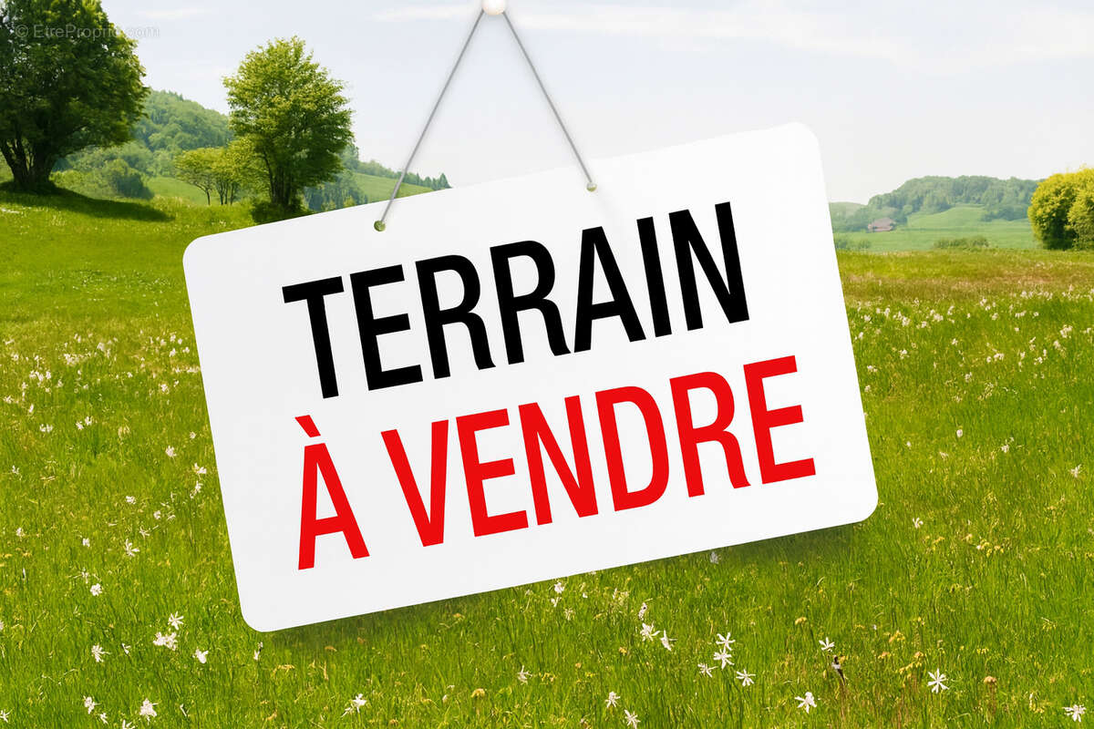 Terrain-pornic - photo 4