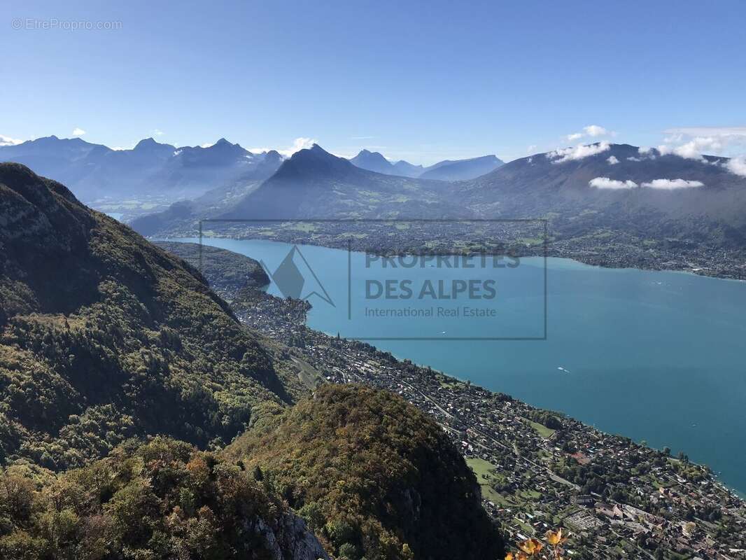 Villa d'architecte contemporaine avec piscine  Veyrier-du-Lac - photo 3