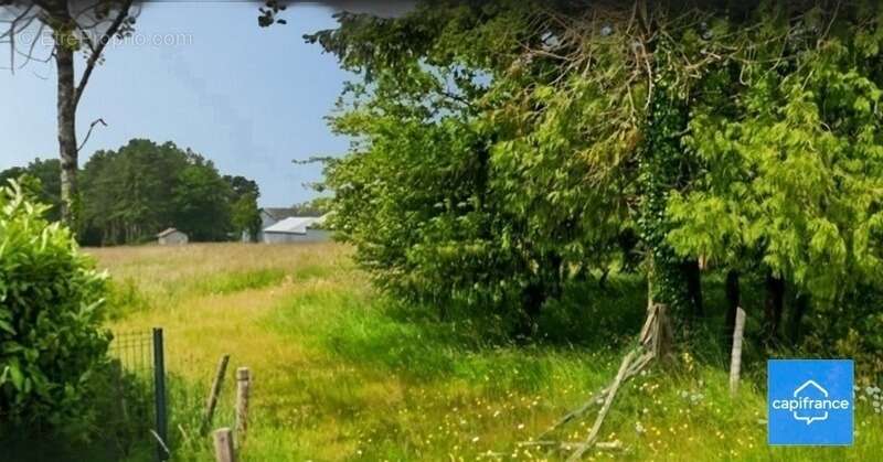 Terrain à MONTENEUF