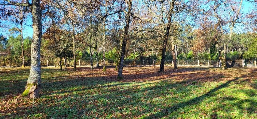 Photo-2024/120641-1-1 - Terrain à LE BARP