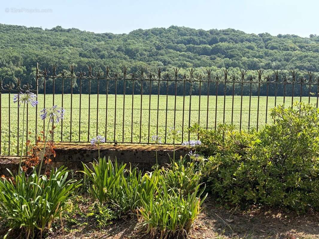 PLAISANCE DU GERS(32): élégante PROPRIETE DE CHARME et de CARACTERE XVIII-XIXs, 3,5hectares, près de Plaisance et Marciac, SANS  - photo 95