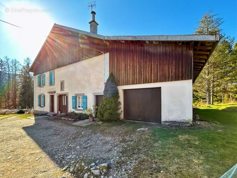 Ferme vosgienne à Gérardmer - photo 13