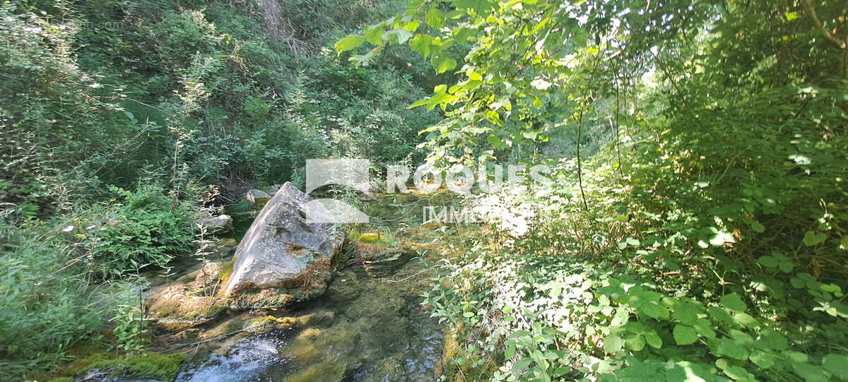 A VENDRE, Proche Lodève, Maison 159 m2 en pleine nature sur 6002 m2 de terrain attenant - photo 30