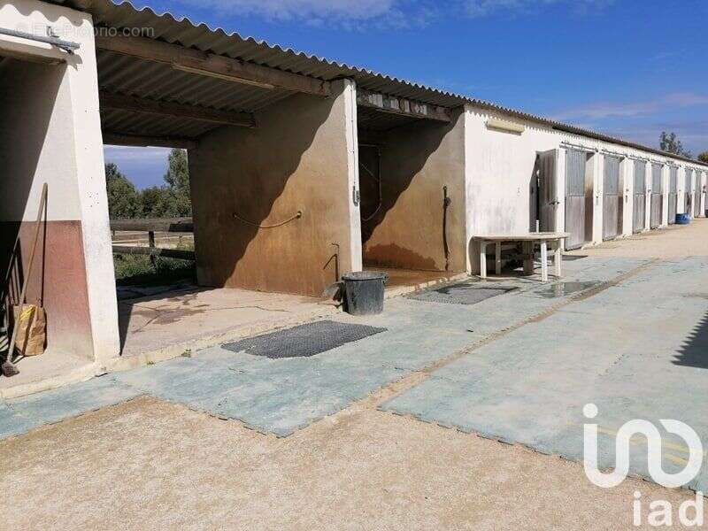 Photo 5 - Maison à BEAUCAIRE