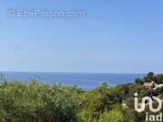 Photo 1 - Appartement à BANDOL