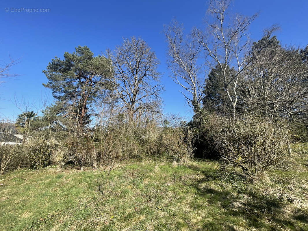 Maison à SAINT-OUEN-LES-VIGNES
