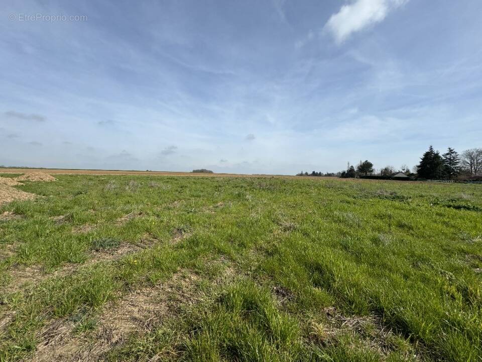 Terrain à JUMELLES