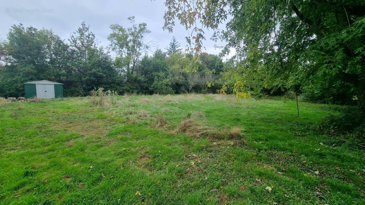 Terrain à VILLARS-LES-DOMBES