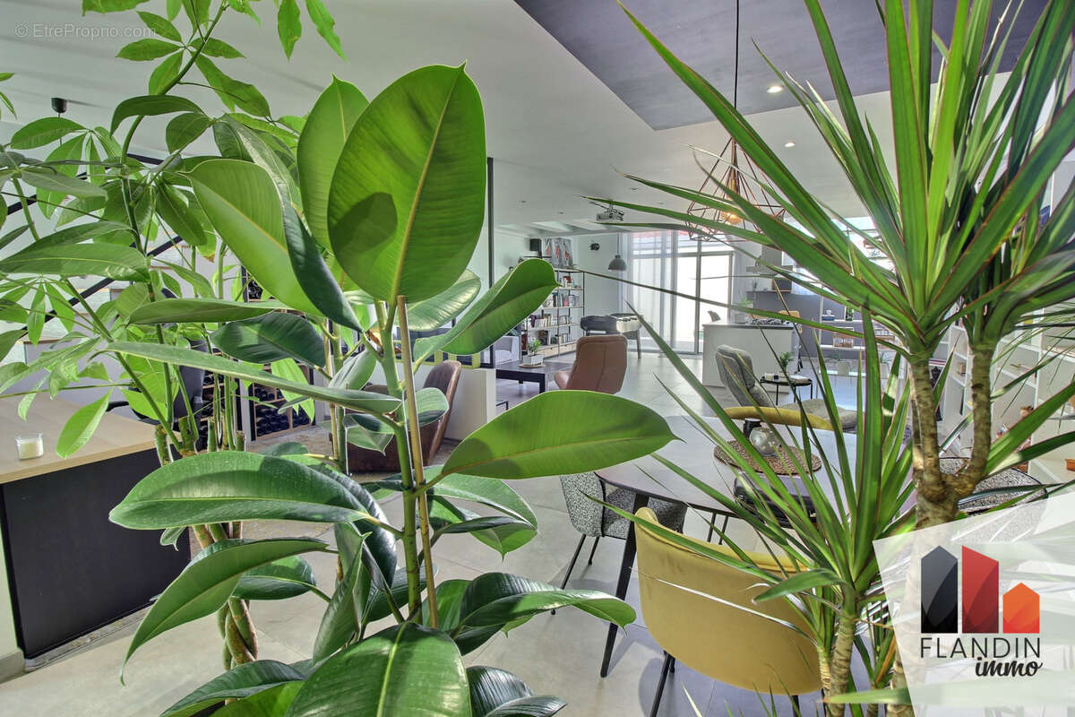 Appartement à MILLERY