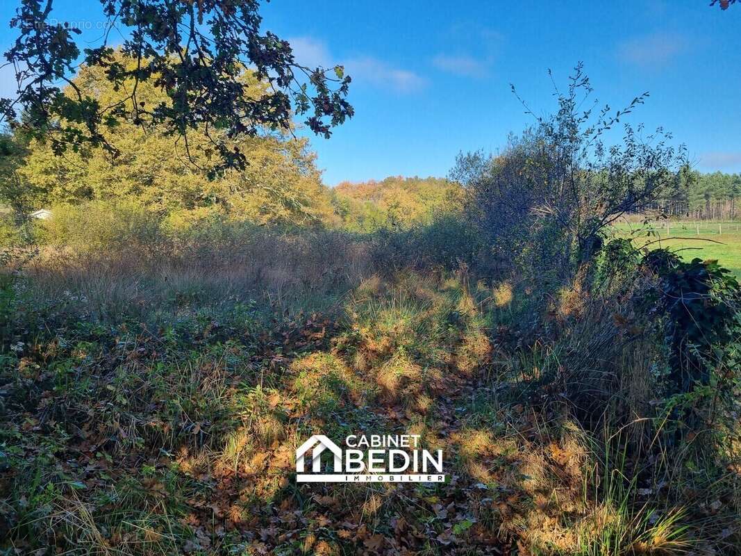 Terrain à BELIN-BELIET