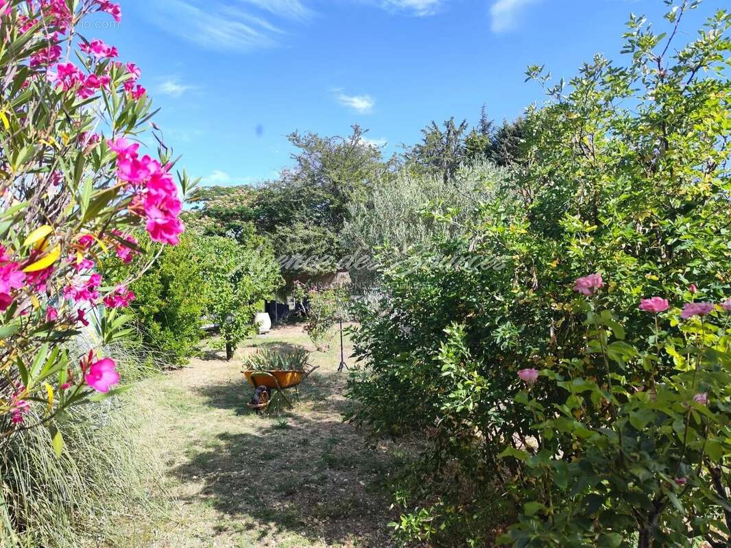 Maison à LA VERDIERE