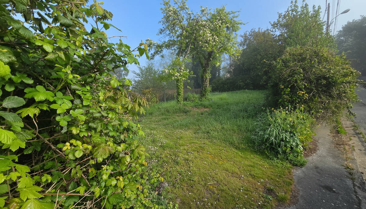 Terrain à CHAMPAGNE-SUR-OISE