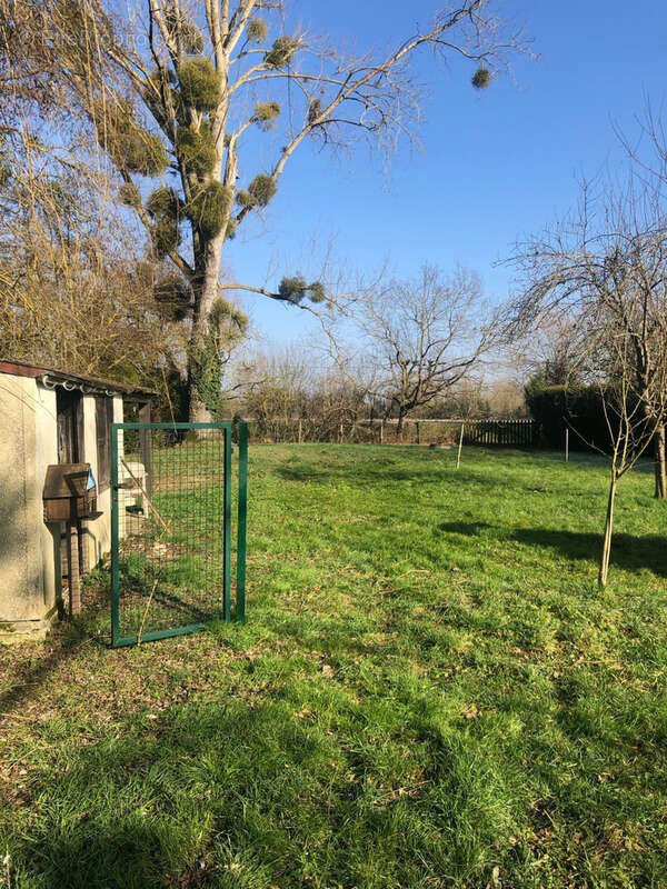 Terrain à RUVIGNY