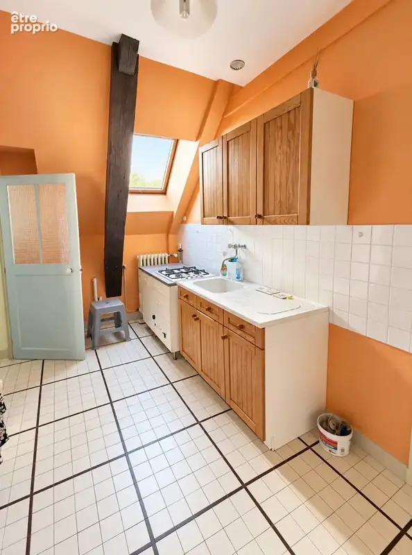 Propriétés de caractere- 300 m2 - au cozur du quartier historique de Bourbon Lancy - photo 27