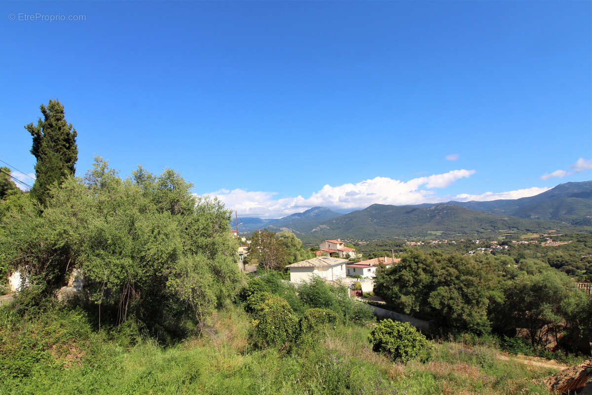 Terrain à BASTELICACCIA