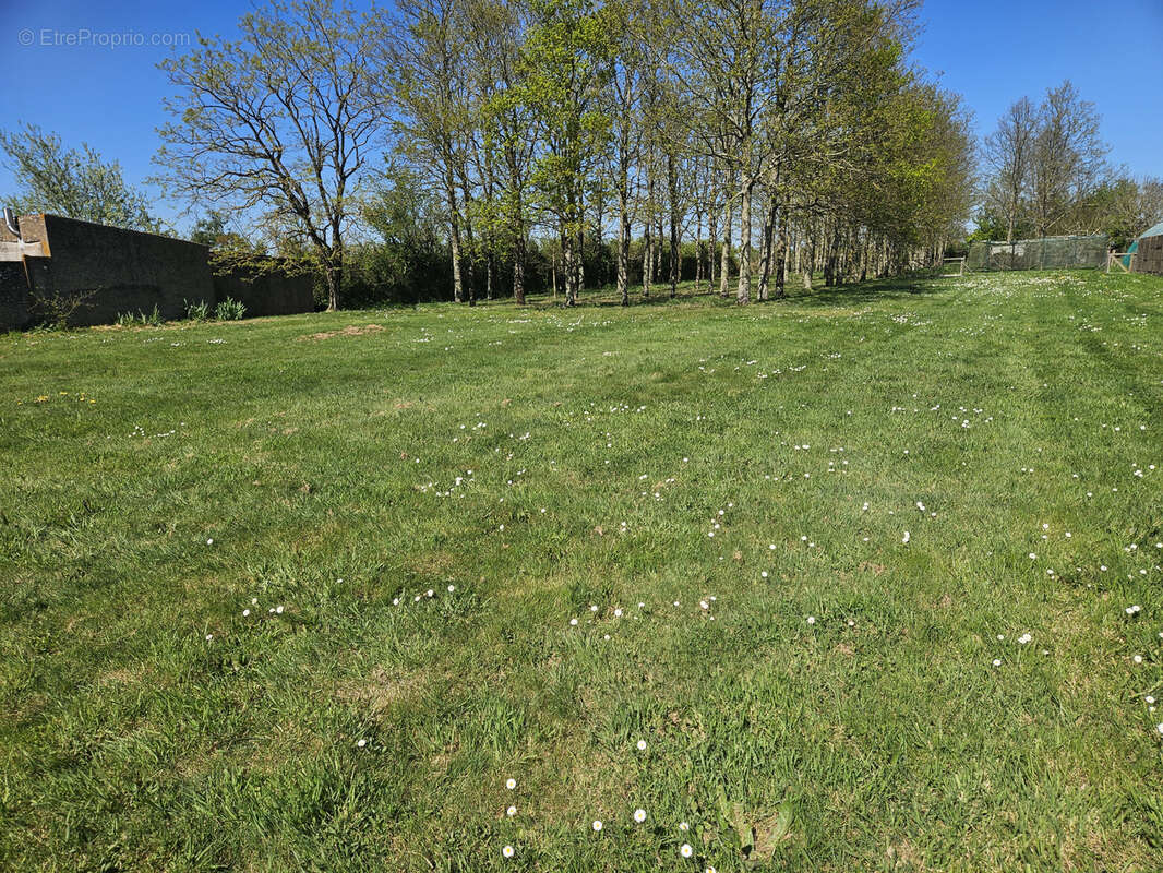 Terrain à BOURGNEUF-EN-RETZ