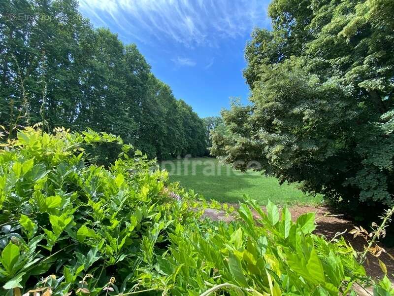 Dpt Gard (30), à vendre dans le Gard, propriété viticole en AOP Côtes du Rhône sur 25 hectares avec Château du XVème siècle - photo 32