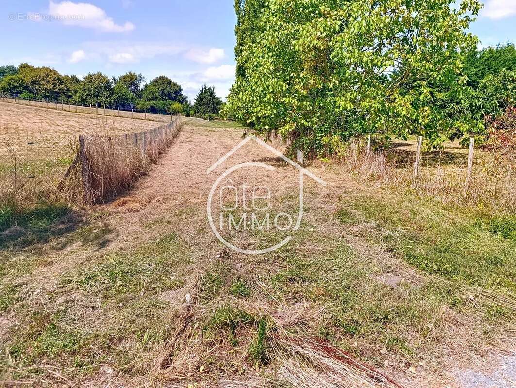 PRIGONRIEUX : Terrain constructible de 2534m² - photo 2