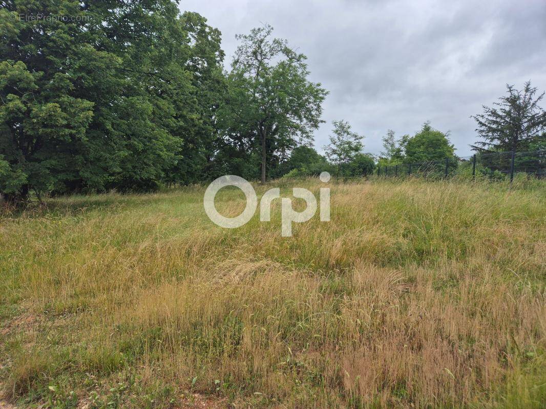 Terrain à TRELISSAC