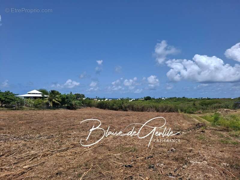 Terrain à SAINT-FRANCOIS
