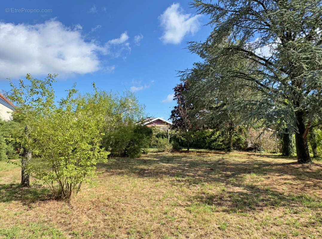 Terrain à CRAPONNE