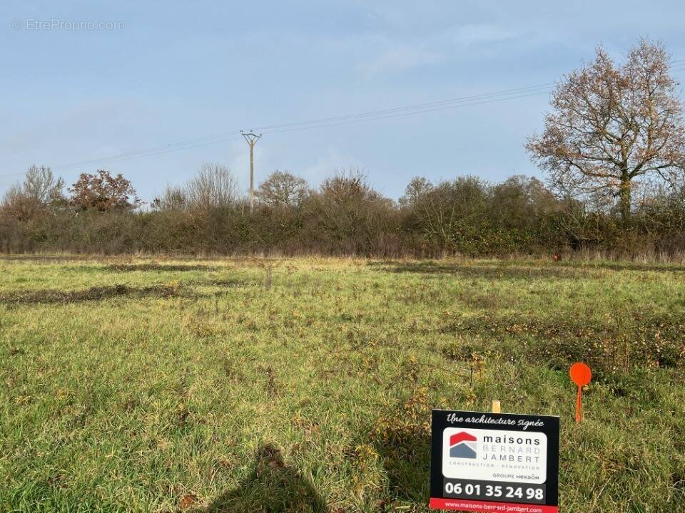 Terrain à SAINT-PIERRE-MONTLIMART