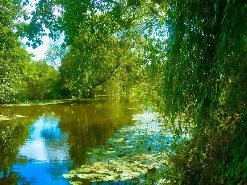 Photo 6 - Maison à PALINGES