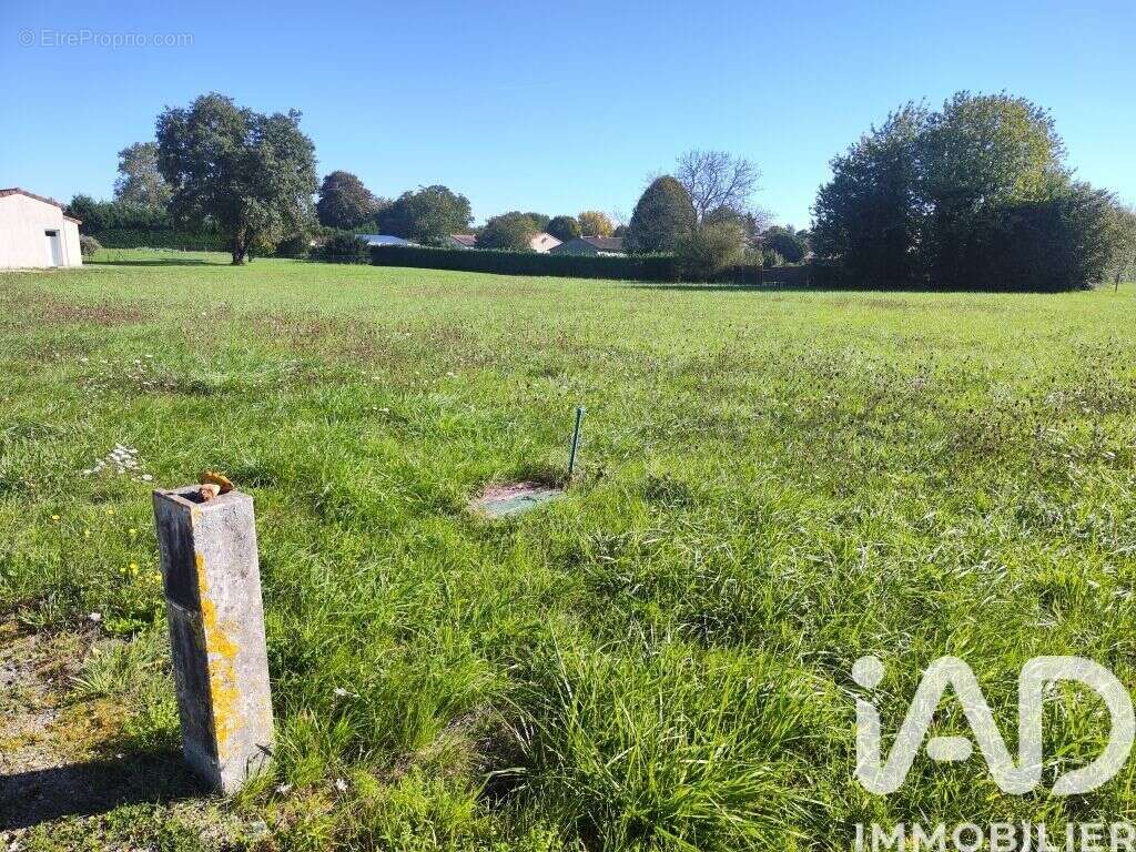 Photo 4 - Terrain à CHAMPAGNE-LE-SEC