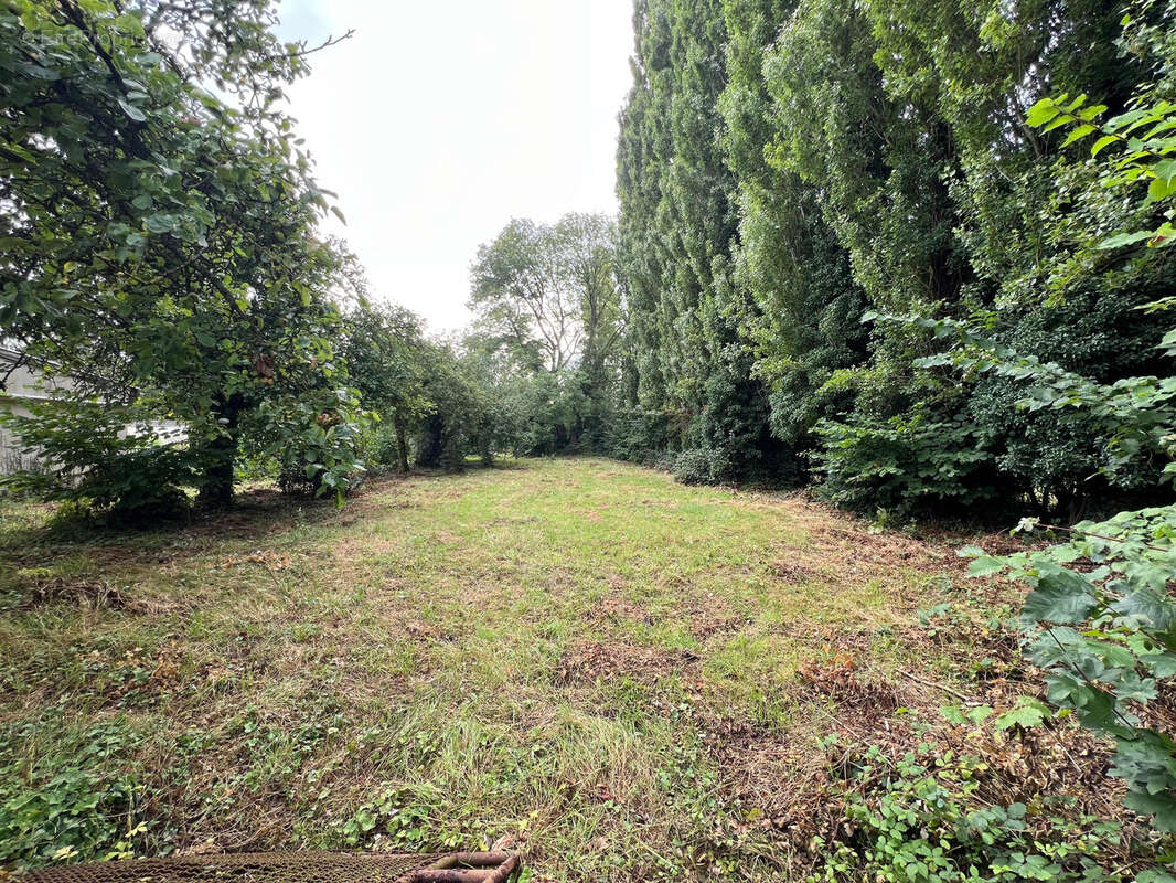 Terrain à FEUQUIERES-EN-VIMEU