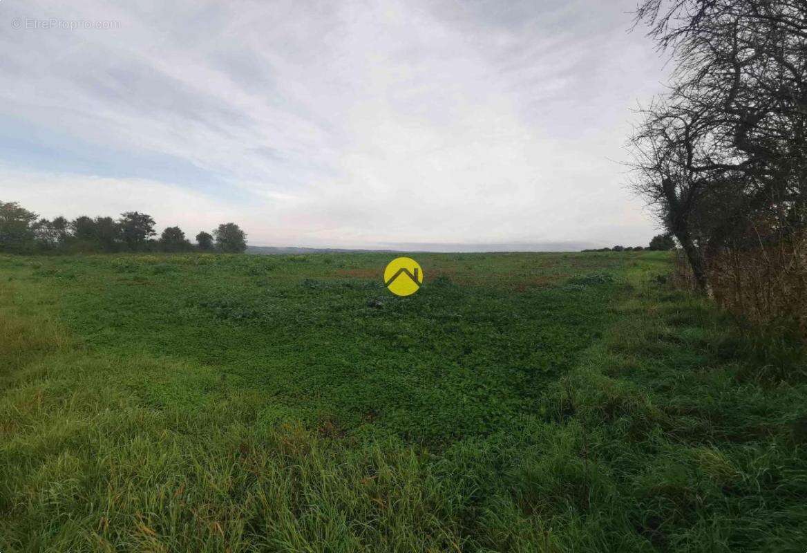 Vue Imprenable ! - photo 3