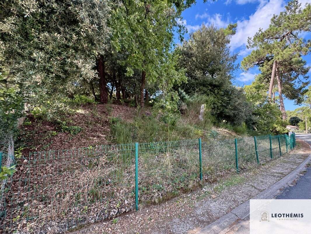 Terrain à LA TREMBLADE