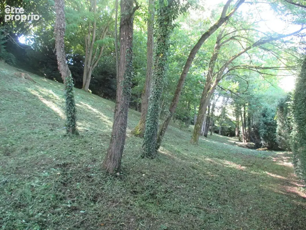 Château historique dominant les gorges de la Dore - photo 19