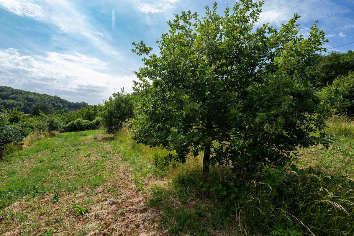 Terrain à COMMERCY