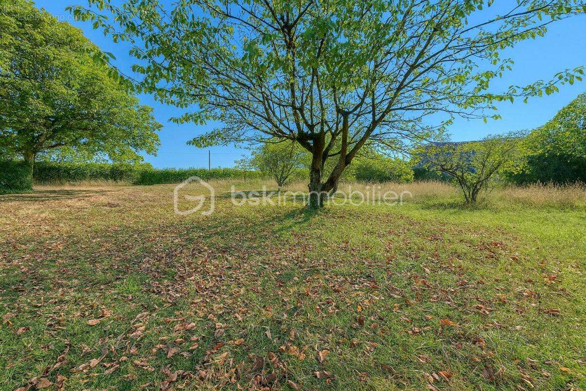 Maison à SAINT-HILAIRE-DU-ROSIER