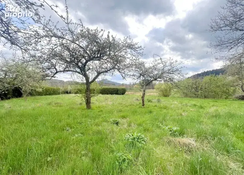 Terrain à BOURG-BRUCHE