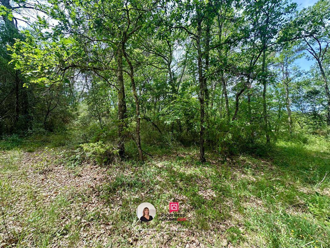 Terrain à TRANS-EN-PROVENCE