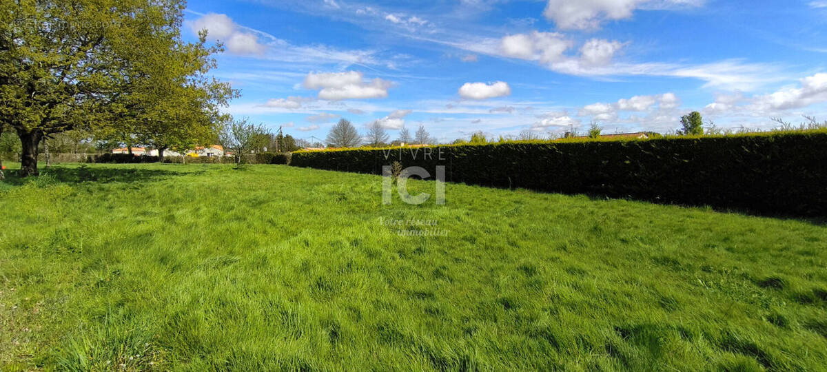 Terrain à MACHECOUL