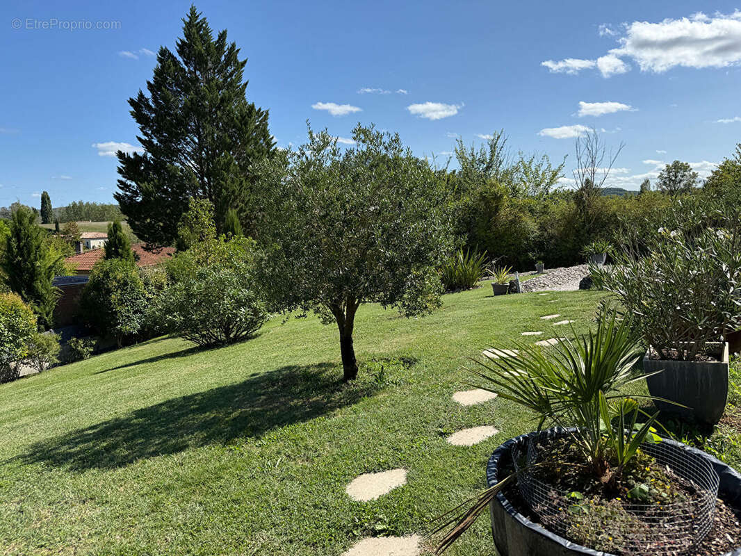 Ensemble de 3 chalets en bois, site de villégiature avec piscine - photo 13