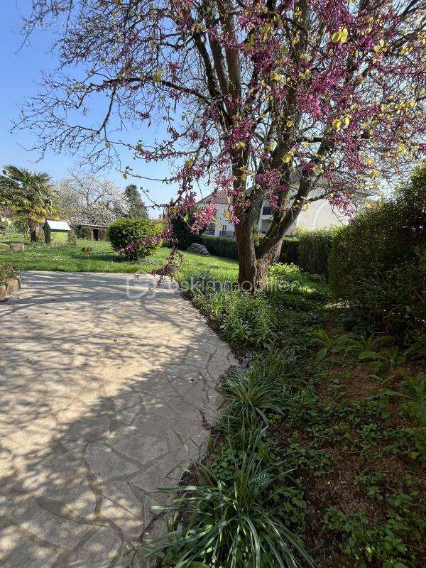 À vendre – Terrain constructible de 799 m² – Centre‑ville de Thiais (94320) - photo 2