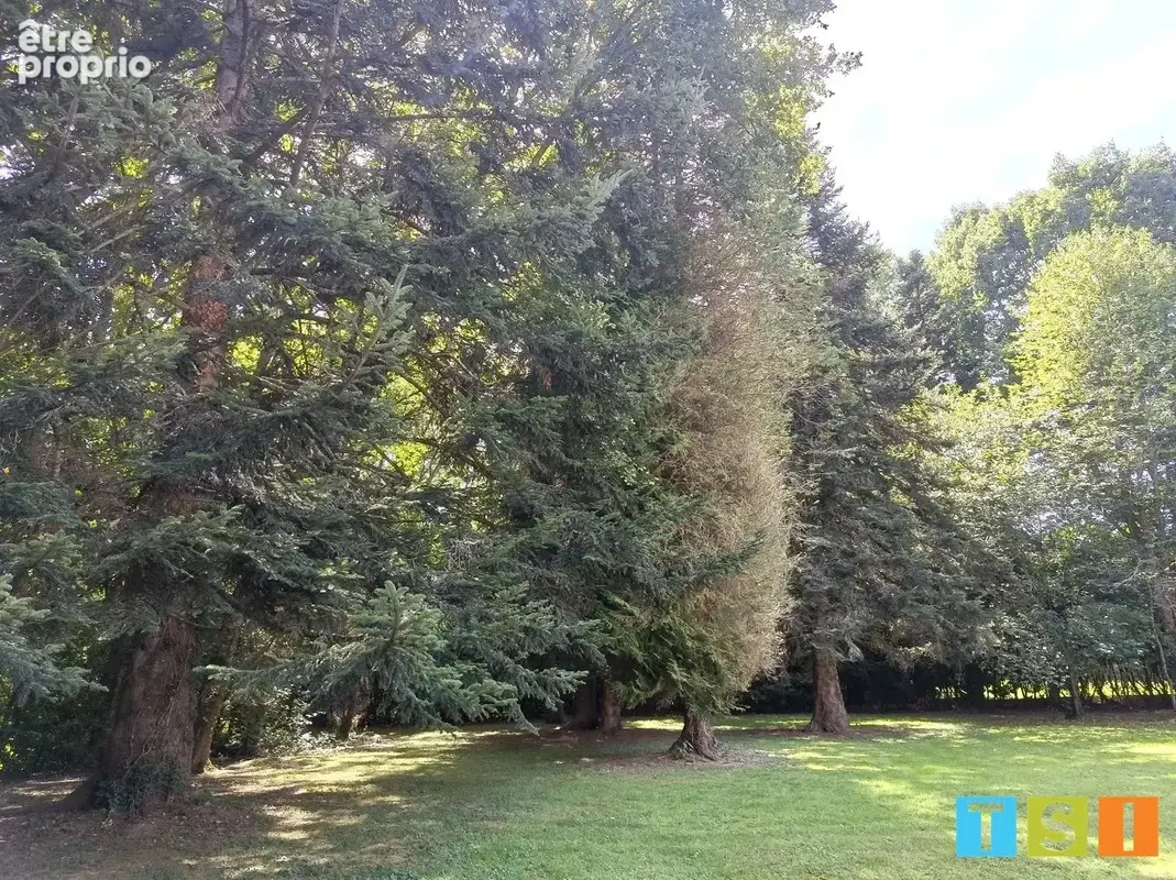 Vallée de la neste: grande maison cossue des années 70 sur un parc de 7743 m². - photo 5
