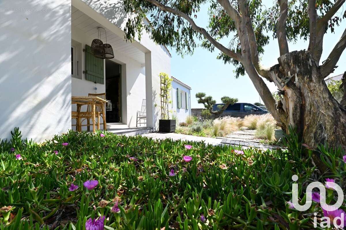 Photo 4 - Maison à SAINTE-MARIE-DE-RE