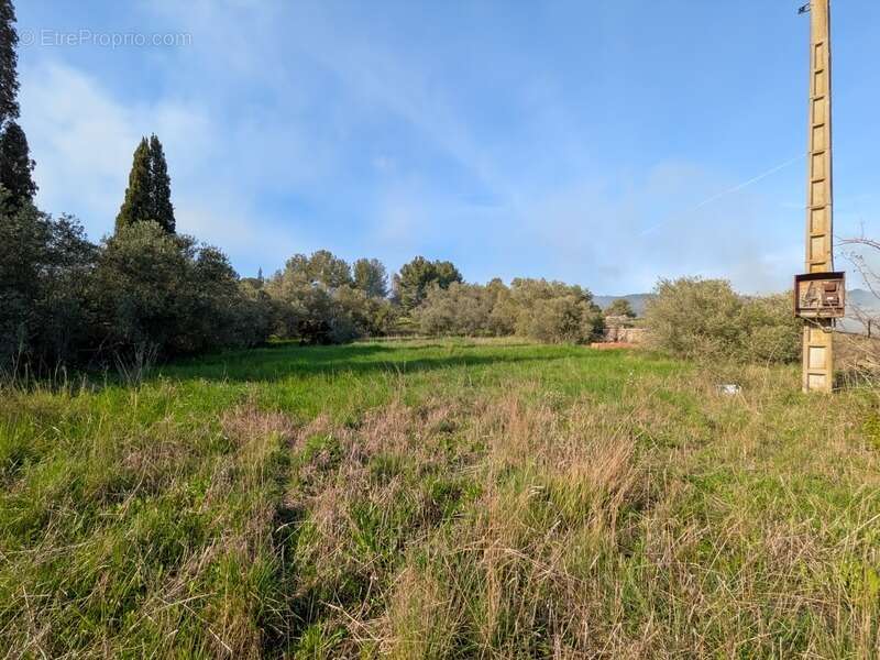 Terrain à CESSERAS