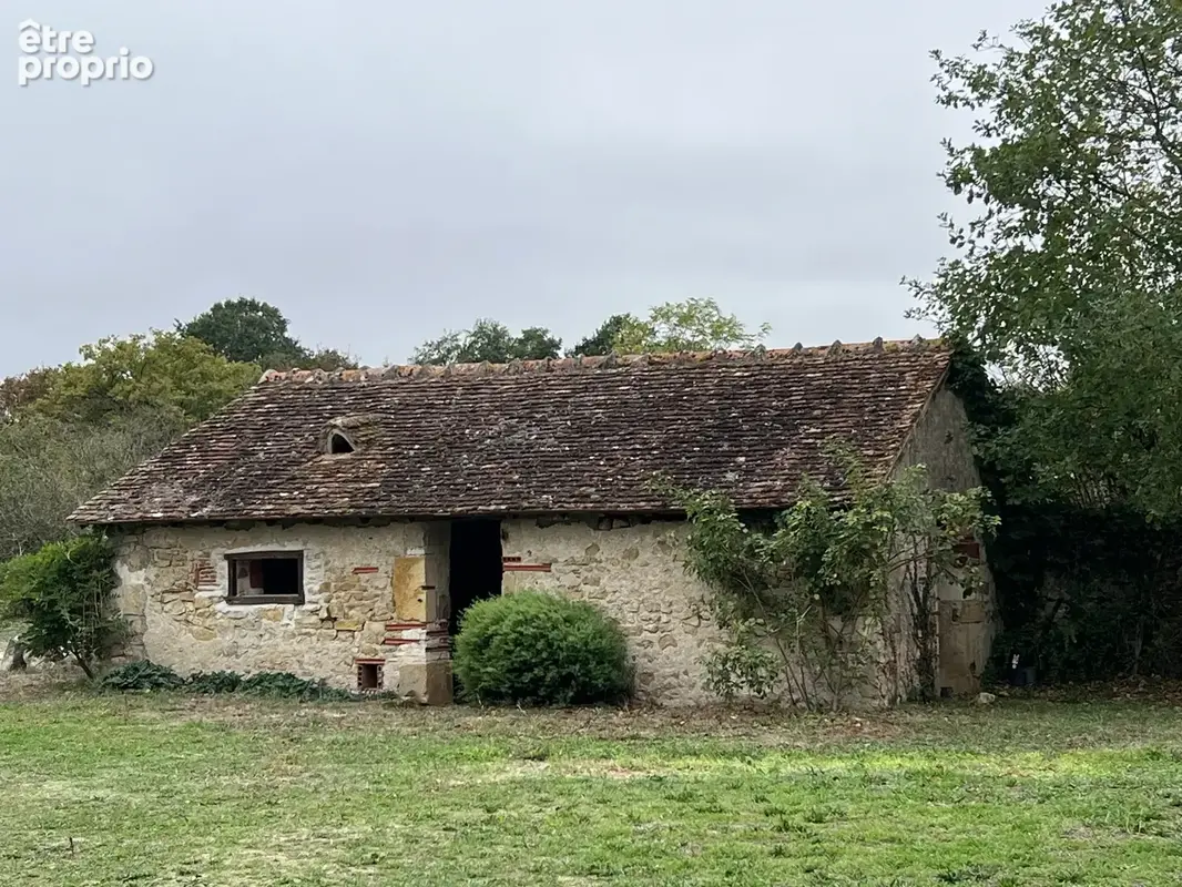 Sud Cher : pté 40 ha : grange réhabilitée, dépendances, étang, prairie, taillis - photo 11