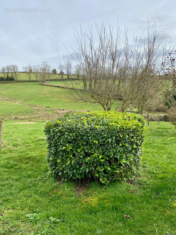 Maison à SAINT-PIERRE-LAVAL