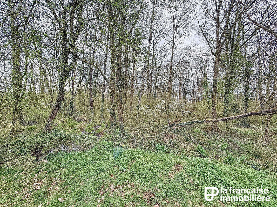 Terrain à SENS-DE-BRETAGNE