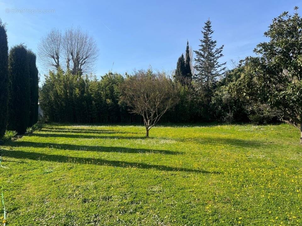 Terrain à VERNEGUES
