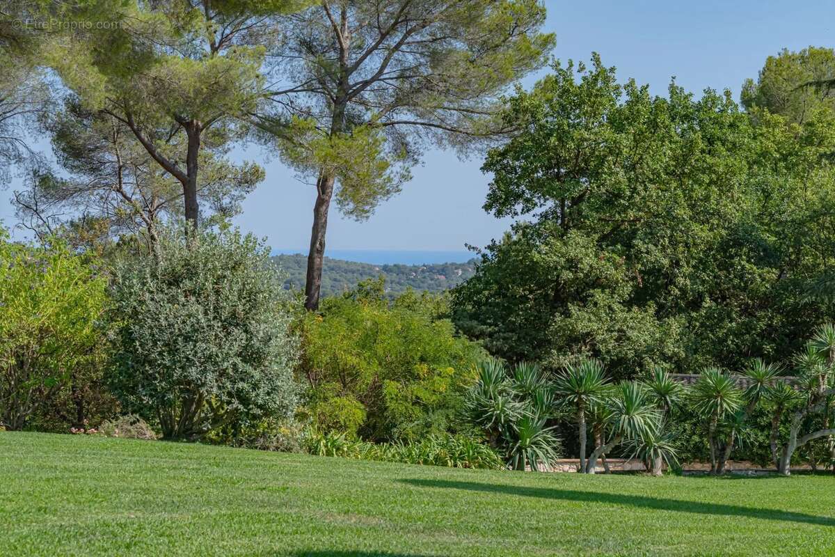 Maison à ROQUEFORT-LES-PINS