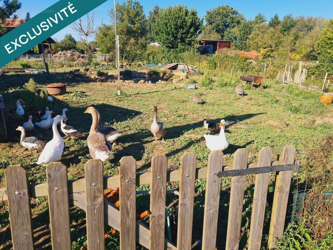 Photo 8 - Maison à MOUTIERS-SUR-LE-LAY