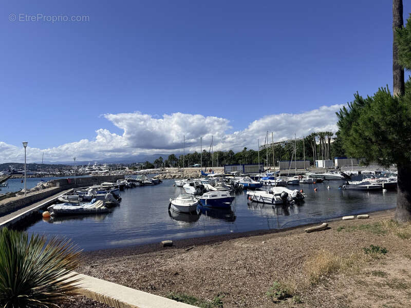 Appartement à vendre 2 pièces CANNES (06) VUE MER PANORAMIQUE - photo 3